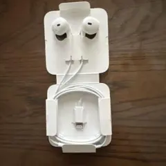 Apple EarPods with Lightning Connector