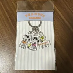 PEANUTS スヌーピー 3連アクリルキーホルダーのサムネイル