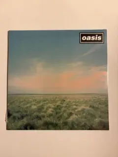 2025年最新】oasis whatever LPの人気アイテム - メルカリ