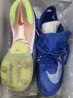 2026年最新】ズームビクトリーの人気アイテム - メルカリ