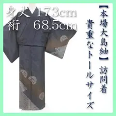 裄６８.５ｃｍ　型絵染の【本場色大島紬】　新品の【トールサイズ】訪問着です