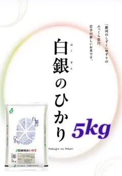 お米　新商品！精米【岩手県産白銀のひかり5kg】　当店オススメ商品！のサムネイル