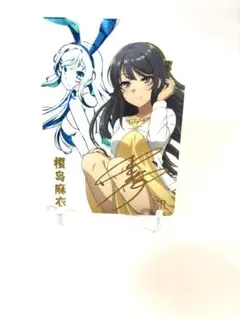 セクシーカード　キラカード アニメカード 262