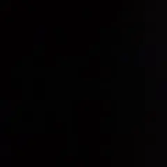 Item thumbnail for item 1639a415-5d6c-46f6-82e4-4438600335bd