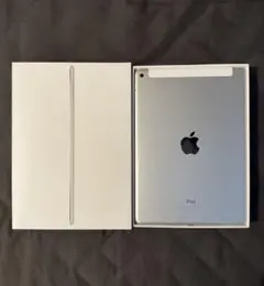 iPad Air 2 WiFi Cellular 16GBシルバー
