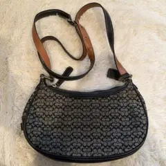 Item thumbnail for item 6c19aec3-2e92-4c97-bdcc-27083e3bc81f