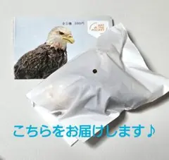 【新品・未開封】【ハクトウワシ】はしもとみおの彫刻　那須どうぶつ王国２