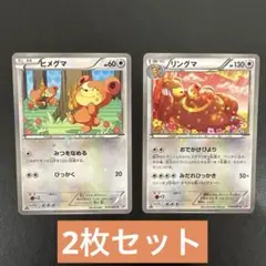 ポケモンカード SC ヒメグマ リングマ セット