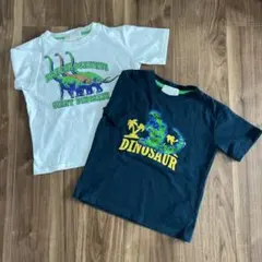 恐竜プリント Tシャツ 2枚セット サイズ110
