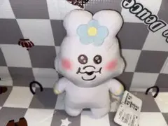 んぽちゃむ ましゅもっち ぬいぐるみのサムネイル