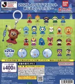 2025 J1クラブマスコット めじるしアクセサリー パルちゃん 清水エスパルス