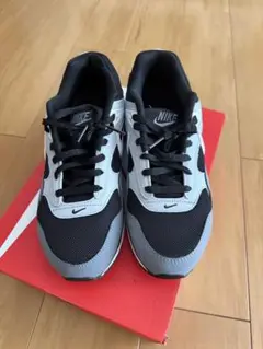 Nike Air Max スニーカー ブラック/グレー