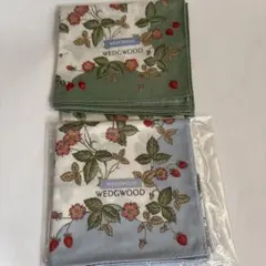 Item thumbnail for item 4c8a98d5-3dc9-4741-8f6c-918e63b5ec14