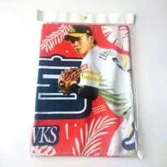 アイリッシュグリーン様 リクエスト 2点 まとめ商品