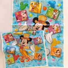 東京ディズニーリゾート 30周年 ショップ袋 2枚セット