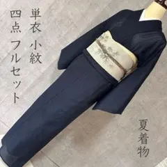 夏着物】紋絽＊無地小紋 長尺 芝文に蛍模様 紺 普段着物 正絹 6KA5 