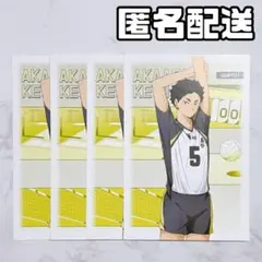 アニメイト ハイキュー 主将 副主将 フェア 特典 ポストカード 赤葦京治