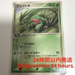 2026年最新】ジュプトルの人気アイテム - メルカリ