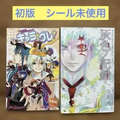 初版】D.Gray-man 公式ファンブック 灰色ノ記録 特製シール付 - メルカリ