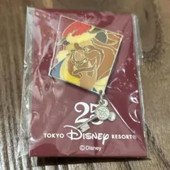 東京ディズニーリゾート 25周年 ドナルド ピンバッジ - メルカリ