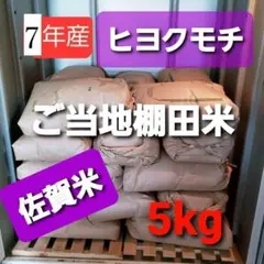 令和7年産棚田育ちのヒヨクモチ5kg 新米　価格改定！！のサムネイル