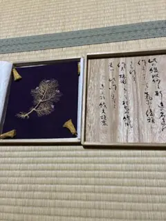 Item thumbnail for item b7044e35-2697-4d47-9db2-a80db8354144