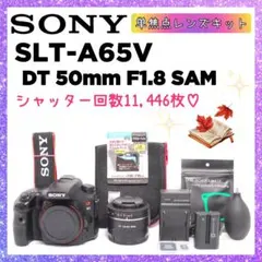 SONY α77 おまけ付き ついにSONY／α77を購入 | Ke-Kun Base