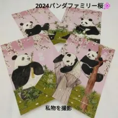 2026年最新】上野松坂屋 クリアファイルの人気アイテム - メルカリ