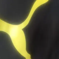 ☆　michi様　ご確認用　Puma半袖ラッシュガード　☆