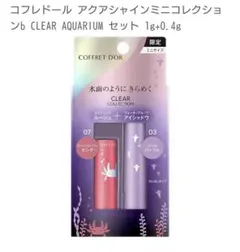 【希少】コフレドールアクアシャインミニコレクション