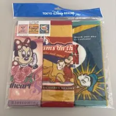 東京ディズニーリゾート ミニタオル3枚セット