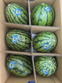 産地直送！優！小玉スイカウリ坊6玉入！甘くて美味しい箱込10キロ前後のサムネイル