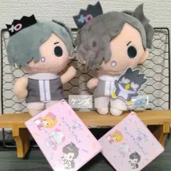 真天地開闢集団 ジグザグ サンリオキャラクターズ ぬいぐるみ 影丸　２点