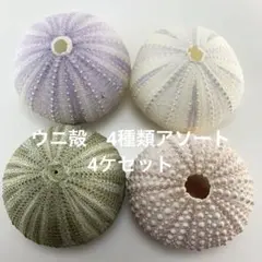 Item thumbnail for item 0df802e4-cfe3-43ff-848b-6dfd63150f29