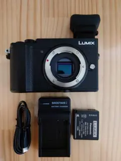 2025年最新】LUMIX DC-GX7MK3の人気アイテム - メルカリ