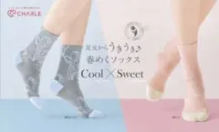 シャルレ ソックス(柄もの) ピンク＆ブルーグレーのサムネイル
