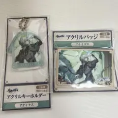 崩壊スターレイル スタレ アナイクス ローソン アクリルバッジ 21個