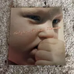 廃盤・希少】Babyland ホンマタカシ 写真集 - メルカリ