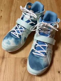 新品未使用 ライカ　シューズ　ryka テナシティ　24.5cm ZUMBA