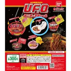 まとめ購入大歓迎(⁎ᴗ͈ˬᴗ͈⁎)様 リクエスト 2点 まとめ商品