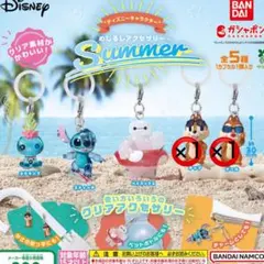 ディズニー めじるしアクセサリー Summer チップ デール