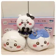 ちいかわ／ハチワレ／５点セット