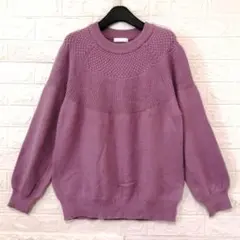 DRESKIP 起毛ニット L