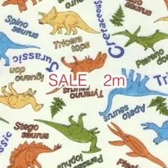 SALE 2m 恐竜 アイボリー オックス