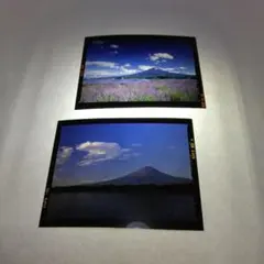 Item thumbnail for item ca964fb5-a93a-46b9-bcf4-7205b51c68c2