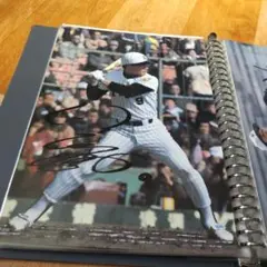 B5ブロマイド 佐野仙行