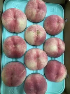 56福島県産硬い桃箱込み4kg玉数お任せ贈答用 - メルカリ