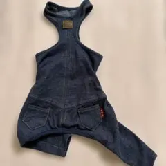 Item thumbnail for item 5fb07e47-0e8a-45c4-9da9-0f84eeb55ffd