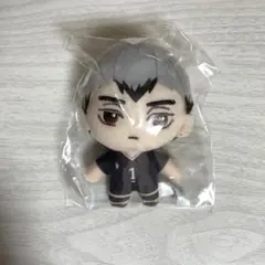 セガラッキーくじ B賞 ぬい 北信介