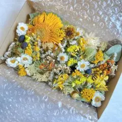 【No.177】ドライフラワー花材セット　イエロー系　詰め合わせ